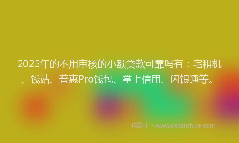 2025年的不用审核的小额贷款可靠吗有：宅租机、钱站、普惠Pro钱包、掌上信用、闪银通等。