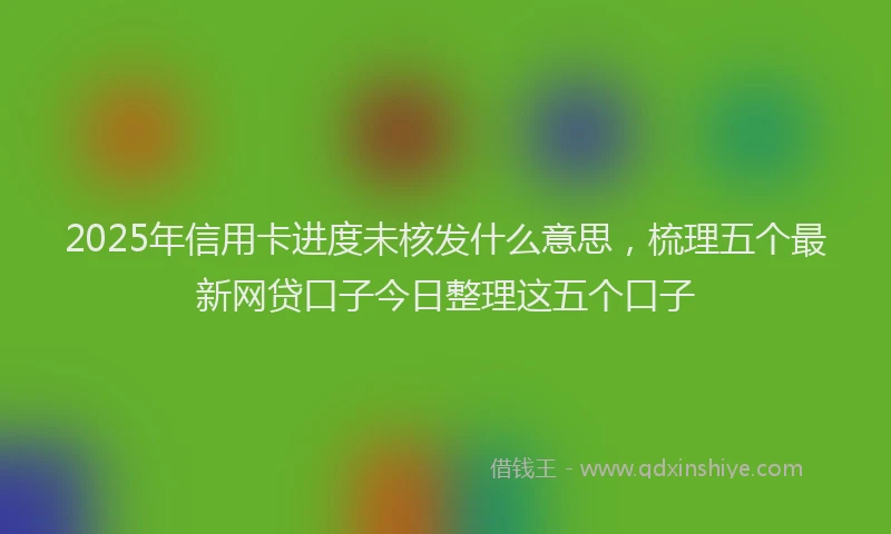 2025年信用卡进度未核发什么意思，梳理五个最新网贷口子今日整理这五个口子