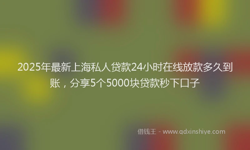 2025年最新上海私人贷款24小时在线放款多久到账，分享5个5000块贷款秒下口子