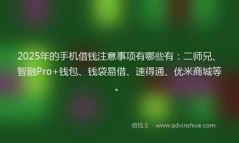 2025年的手机借钱注意事项有哪些有：二师兄、智融Pro+钱包、钱袋易借、速得通、优米商城等。