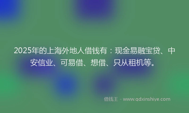 2025年的上海外地人借钱有：现金易融宝贷、中安信业、可易借、想借、只从租机等。