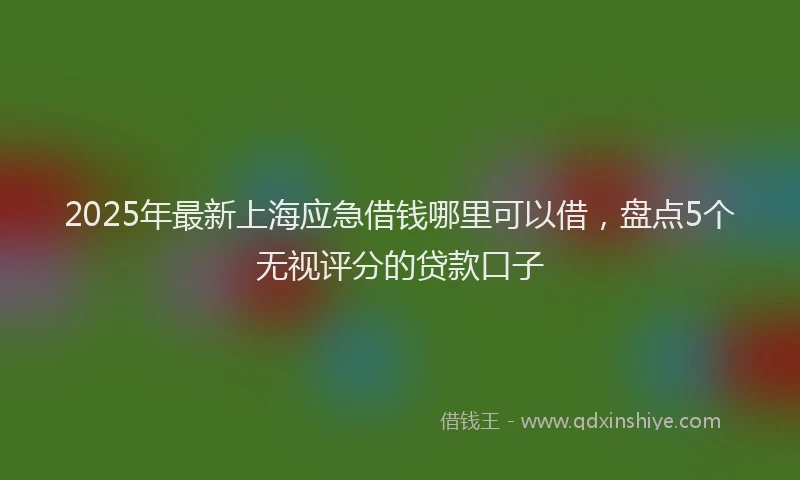 2025年最新上海应急借钱哪里可以借，盘点5个无视评分的贷款口子