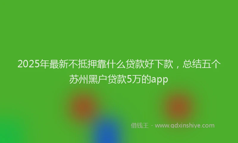 2025年最新不抵押靠什么贷款好下款，总结五个苏州黑户贷款5万的app