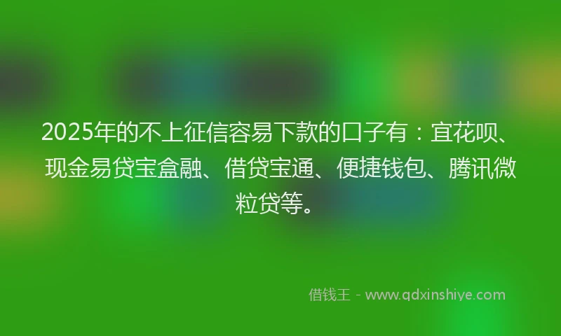 2025年的不上征信容易下款的口子有：宜花呗、现金易贷宝盒融、借贷宝通、便捷钱包、腾讯微粒贷等。