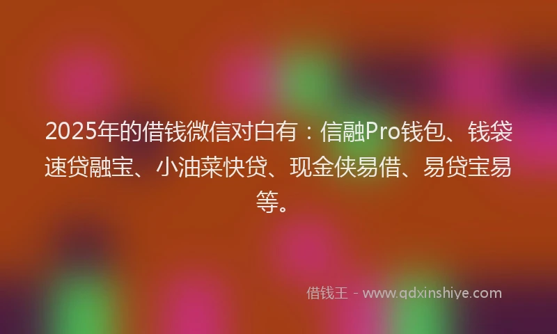 2025年的借钱微信对白有：信融Pro钱包、钱袋速贷融宝、小油菜快贷、现金侠易借、易贷宝易等。