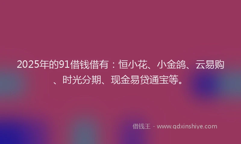2025年的91借钱借有：恒小花、小金鸽、云易购、时光分期、现金易贷通宝等。