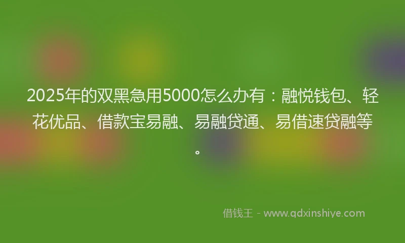 2025年的双黑急用5000怎么办有：融悦钱包、轻花优品、借款宝易融、易融贷通、易借速贷融等。