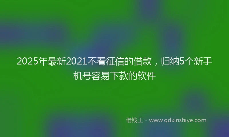 2025年最新2021不看征信的借款，归纳5个新手机号容易下款的软件