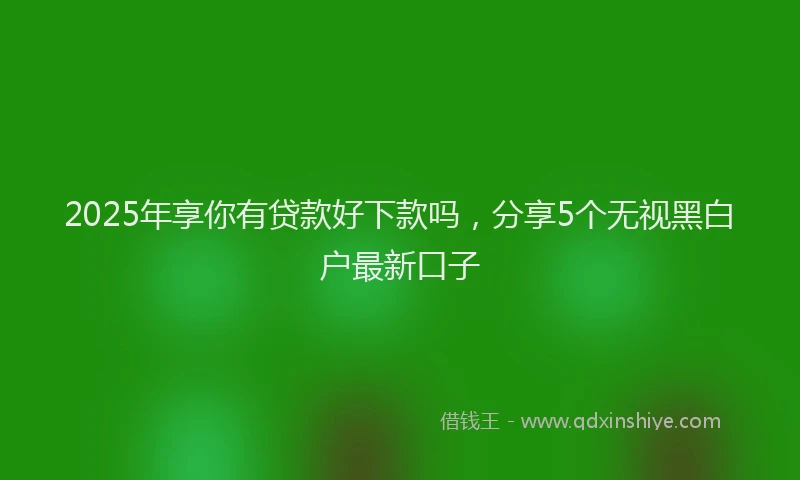 2025年享你有贷款好下款吗，分享5个无视黑白户最新口子