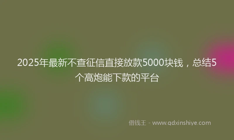 2025年最新不查征信直接放款5000块钱，总结5个高炮能下款的平台