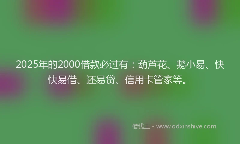 2025年的2000借款必过有：葫芦花、鹅小易、快快易借、还易贷、信用卡管家等。
