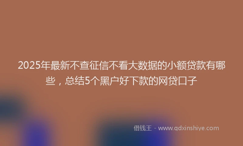 2025年最新不查征信不看大数据的小额贷款有哪些，总结5个黑户好下款的网贷口子