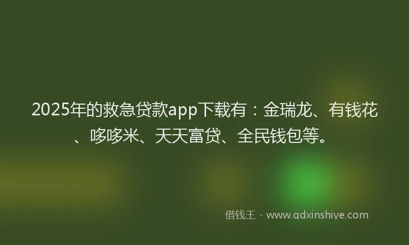 2025年的救急贷款app下载有：金瑞龙、有钱花、哆哆米、天天富贷、全民钱包等。
