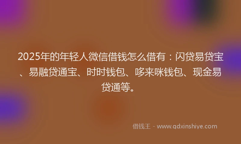 2025年的年轻人微信借钱怎么借有：闪贷易贷宝、易融贷通宝、时时钱包、哆来咪钱包、现金易贷通等。