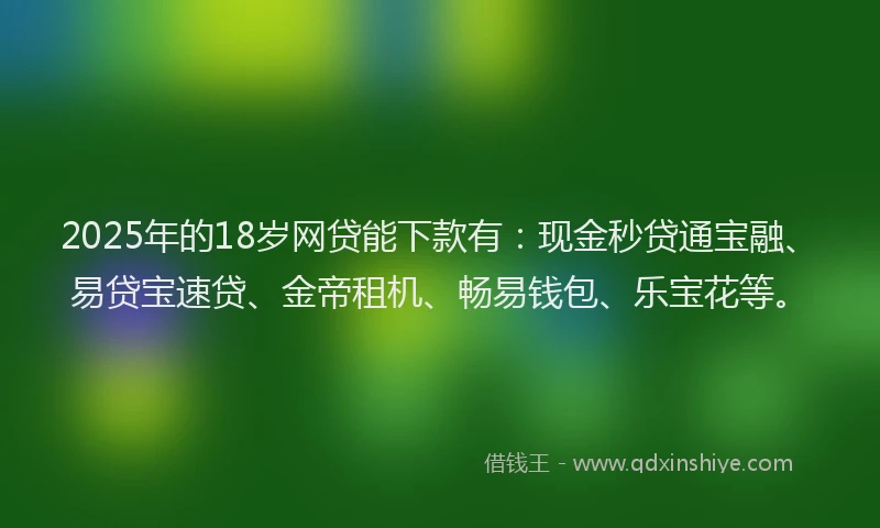 2025年的18岁网贷能下款有：现金秒贷通宝融、易贷宝速贷、金帝租机、畅易钱包、乐宝花等。