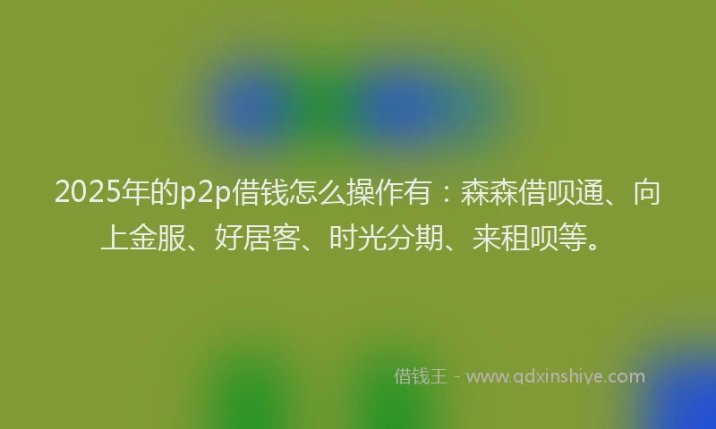 2025年的p2p借钱怎么操作有：森森借呗通、向上金服、好居客、时光分期、来租呗等。