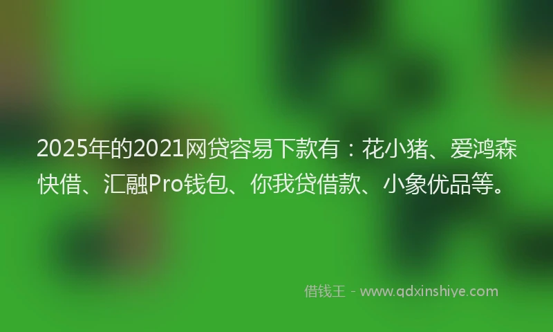 2025年的2021网贷容易下款有：花小猪、爱鸿森快借、汇融Pro钱包、你我贷借款、小象优品等。