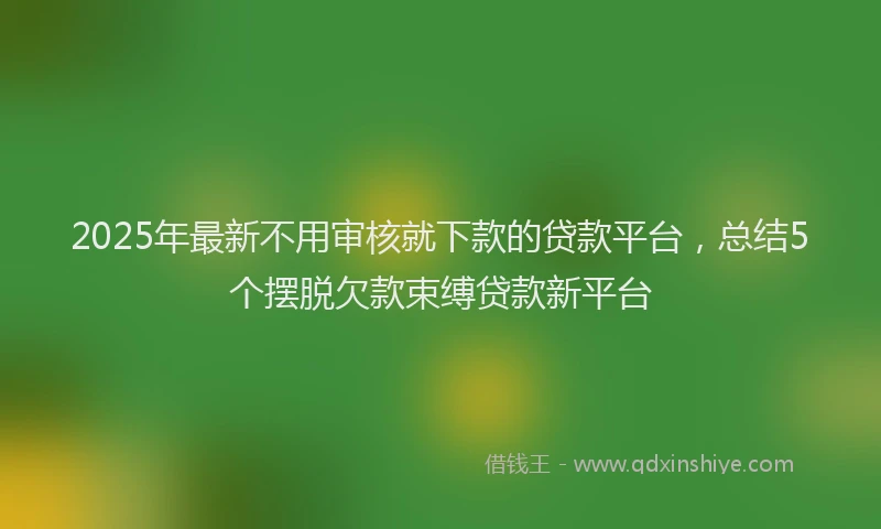 2025年最新不用审核就下款的贷款平台，总结5个摆脱欠款束缚贷款新平台