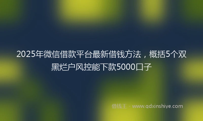 2025年微信借款平台最新借钱方法，概括5个双黑烂户风控能下款5000口子