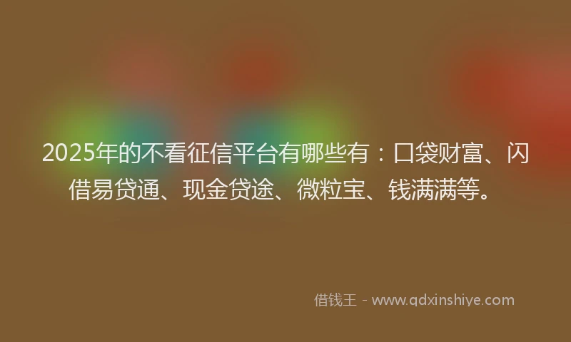 2025年的不看征信平台有哪些有：口袋财富、闪借易贷通、现金贷途、微粒宝、钱满满等。