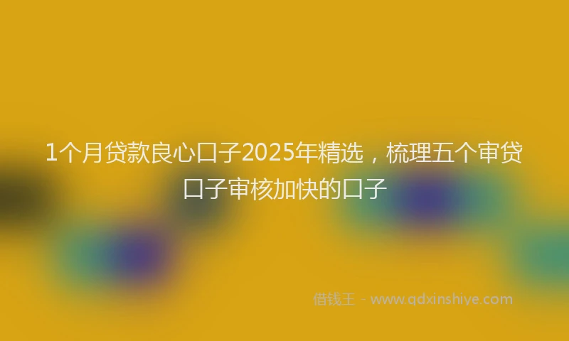 1个月贷款良心口子2025年精选，梳理五个审贷口子审核加快的口子