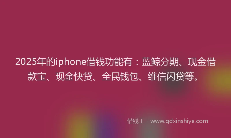 2025年的iphone借钱功能有：蓝鲸分期、现金借款宝、现金快贷、全民钱包、维信闪贷等。