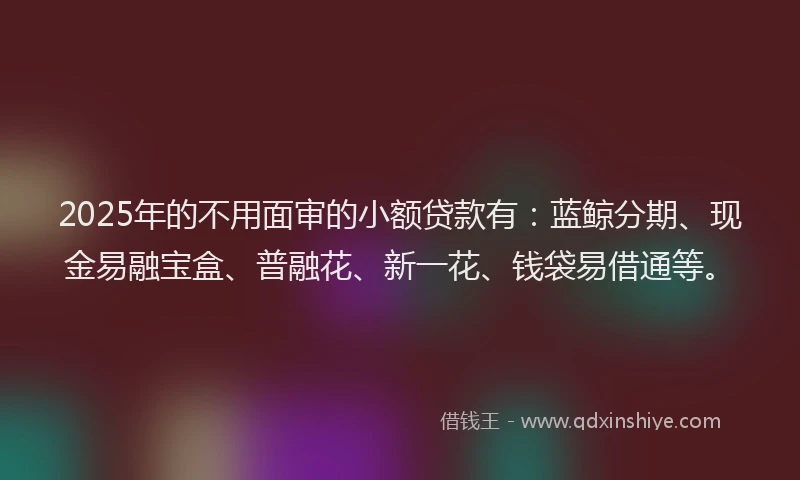 2025年的不用面审的小额贷款有：蓝鲸分期、现金易融宝盒、普融花、新一花、钱袋易借通等。