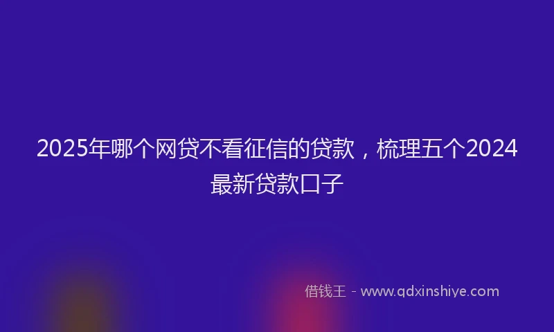 2025年哪个网贷不看征信的贷款，梳理五个2024最新贷款口子