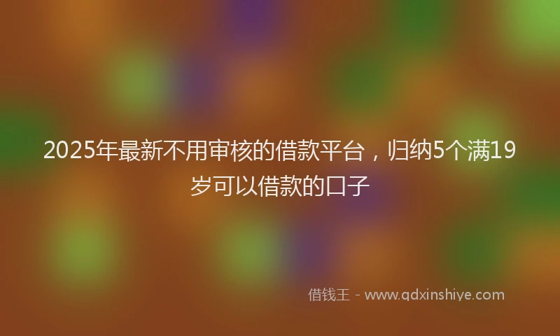 2025年最新不用审核的借款平台，归纳5个满19岁可以借款的口子