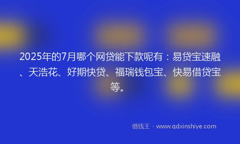 2025年的7月哪个网贷能下款呢有：易贷宝速融、天浩花、好期快贷、福瑞钱包宝、快易借贷宝等。