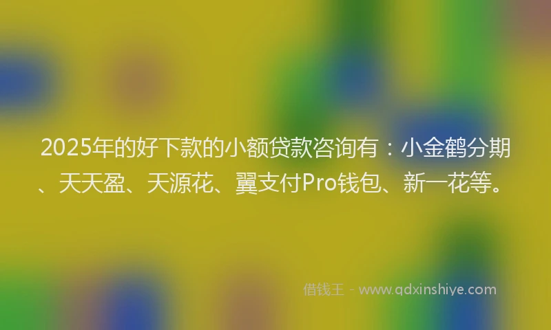 2025年的好下款的小额贷款咨询有：小金鹤分期、天天盈、天源花、翼支付Pro钱包、新一花等。
