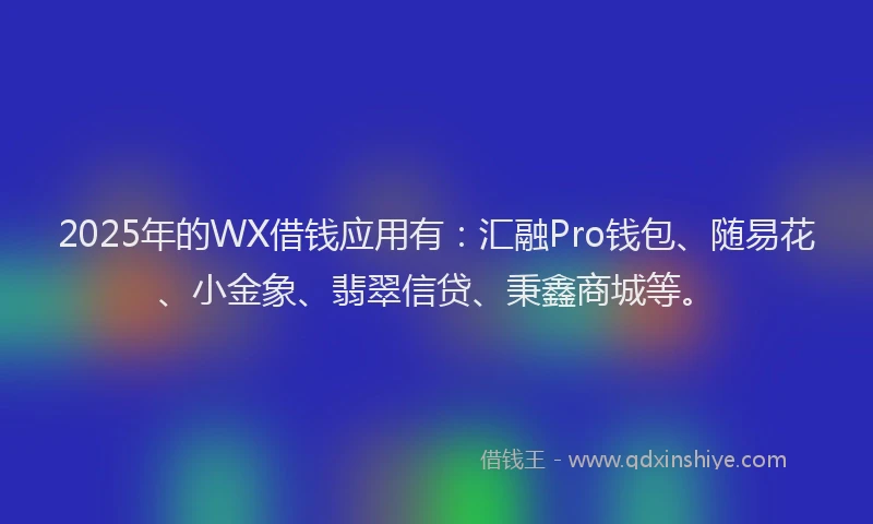 2025年的WX借钱应用有：汇融Pro钱包、随易花、小金象、翡翠信贷、秉鑫商城等。