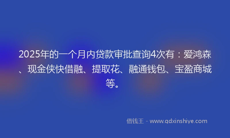 2025年的一个月内贷款审批查询4次有:爱鸿森、现金侠快借融、提取花、融通钱包、宝盈商城等。