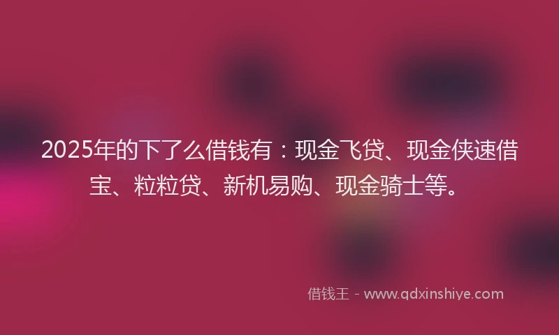 2025年的下了么借钱有：现金飞贷、现金侠速借宝、粒粒贷、新机易购、现金骑士等。