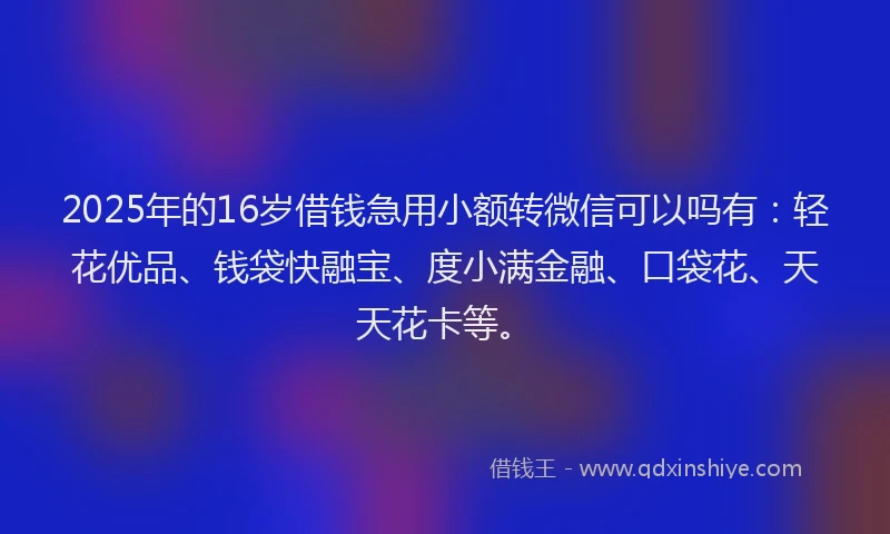 2025年的16岁借钱急用小额转微信可以吗有：轻花优品、钱袋快融宝、度小满金融、口袋花、天天花卡等。
