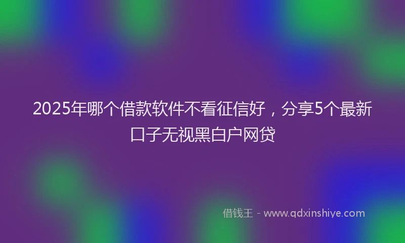 2025年哪个借款软件不看征信好，分享5个最新口子无视黑白户网贷