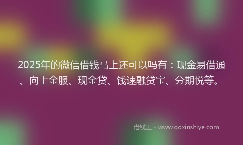 2025年的微信借钱马上还可以吗有：现金易借通、向上金服、现金贷、钱速融贷宝、分期悦等。