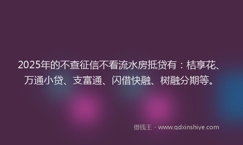 2025年的不查征信不看流水房抵贷有：桔享花、万通小贷、支富通、闪借快融、树融分期等。