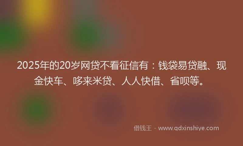 2025年的20岁网贷不看征信有：钱袋易贷融、现金快车、哆来米贷、人人快借、省呗等。