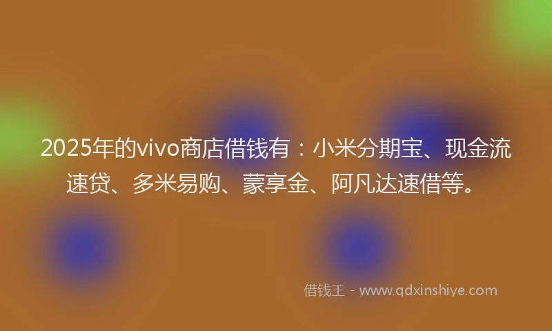 2025年的vivo商店借钱有：小米分期宝、现金流速贷、多米易购、蒙享金、阿凡达速借等。