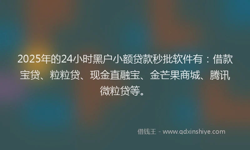 2025年的24小时黑户小额贷款秒批软件有：借款宝贷、粒粒贷、现金直融宝、金芒果商城、腾讯微粒贷等。