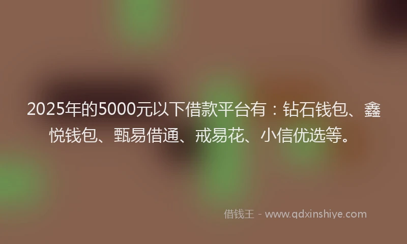 2025年的5000元以下借款平台有：钻石钱包、鑫悦钱包、甄易借通、戒易花、小信优选等。