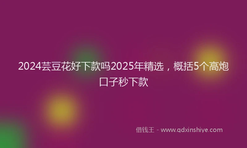 2024芸豆花好下款吗2025年精选，概括5个高炮口子秒下款