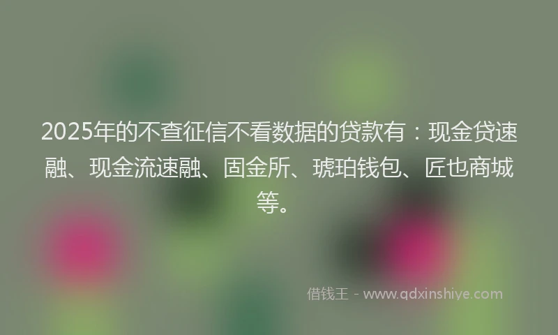 2025年的不查征信不看数据的贷款有：现金贷速融、现金流速融、固金所、琥珀钱包、匠也商城等。
