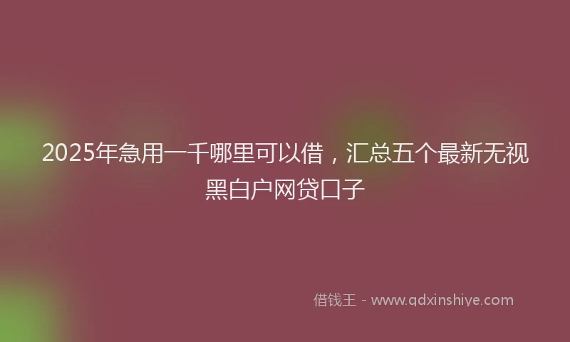 2025年急用一千哪里可以借，汇总五个最新无视黑白户网贷口子