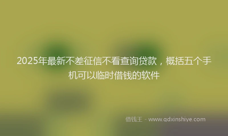 2025年最新不差征信不看查询贷款，概括五个手机可以临时借钱的软件