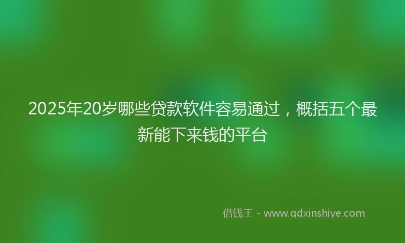 2025年20岁哪些贷款软件容易通过，概括五个最新能下来钱的平台