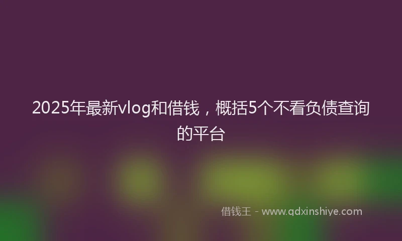 2025年最新vlog和借钱，概括5个不看负债查询的平台