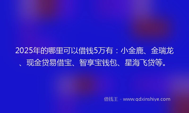2025年的哪里可以借钱5万有：小金鹿、金瑞龙、现金贷易借宝、智享宝钱包、星海飞贷等。