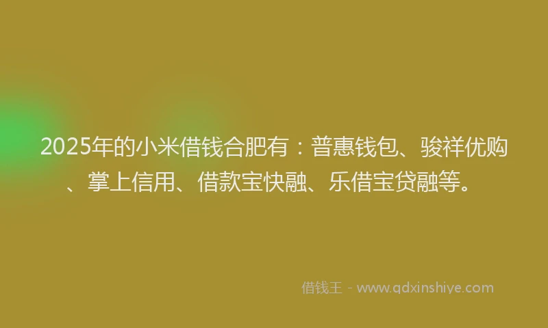 2025年的小米借钱合肥有：普惠钱包、骏祥优购、掌上信用、借款宝快融、乐借宝贷融等。